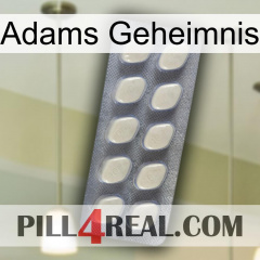 Adams Secret 08